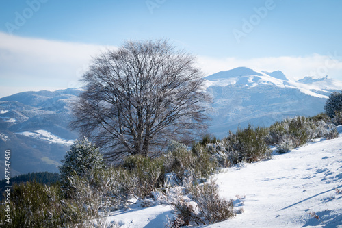 French Pyrenees