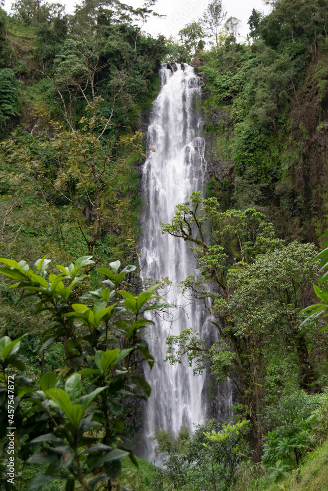 Tanzania