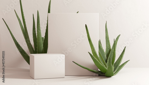 Aloe vera minimal scene cosmetic product presentation template. Beige pastel background with natural plant, leaves for object promotion, 3d rendering.