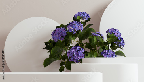 Fototapeta Naklejka Na Ścianę i Meble -  Blue flowers and leaves with geometric props minimal organic cosmetic product presentation. 3d rendering beige empty room – object display mockup background.
