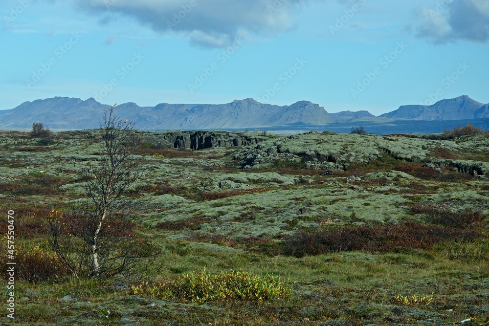 Iceland-view of National park Thingvellir Iceland-view of National park Thingvellir