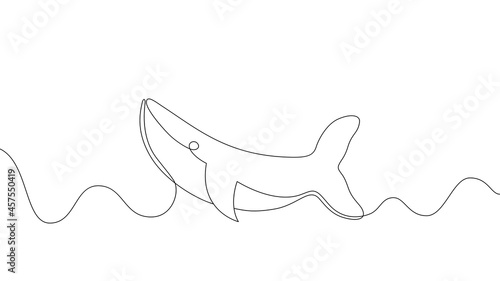 Fototapeta Naklejka Na Ścianę i Meble -  Whale drawing vector, continuous single one line art style isolated on white background. Minimalism hand drawn style