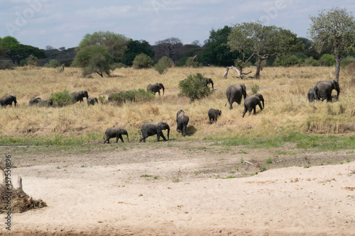 Tanzania