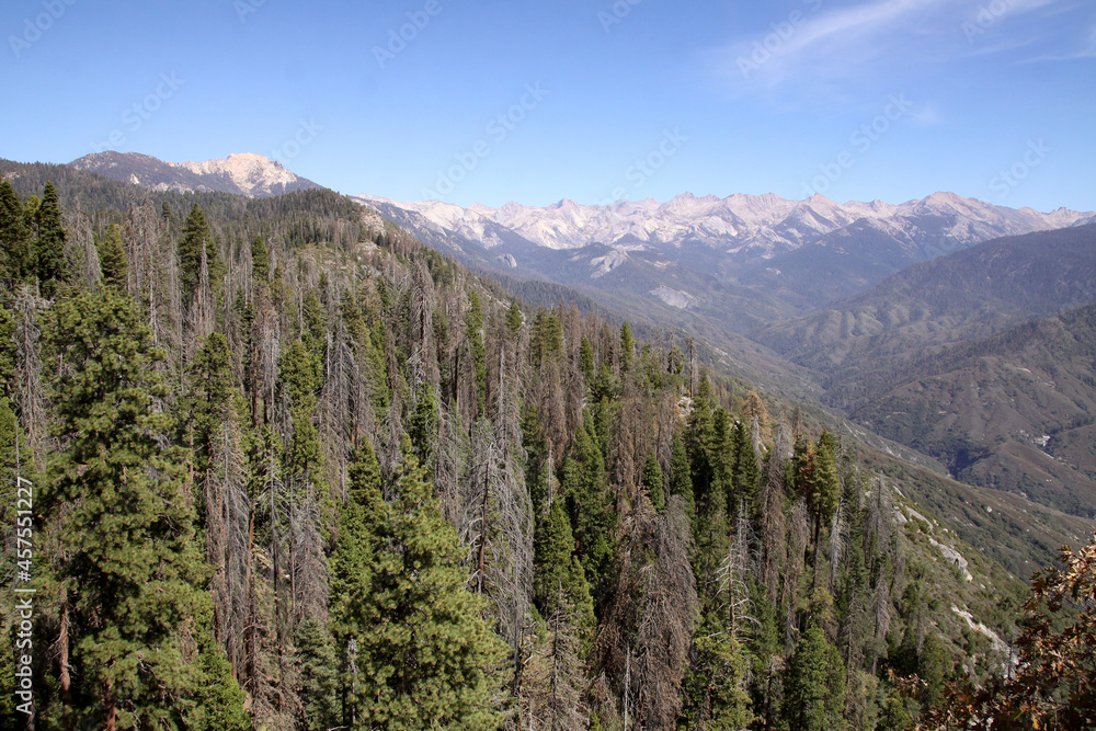 Fototapeta premium Top view of Sequoia National Park