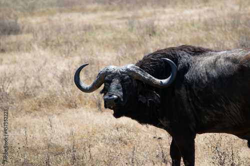 Tanzania