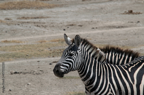 Tanzania