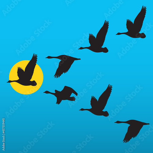 Flock of migrating geese flying in vee formation. Vector illustration of birds following their leader. Great for nature or leadership concept for business applications.
