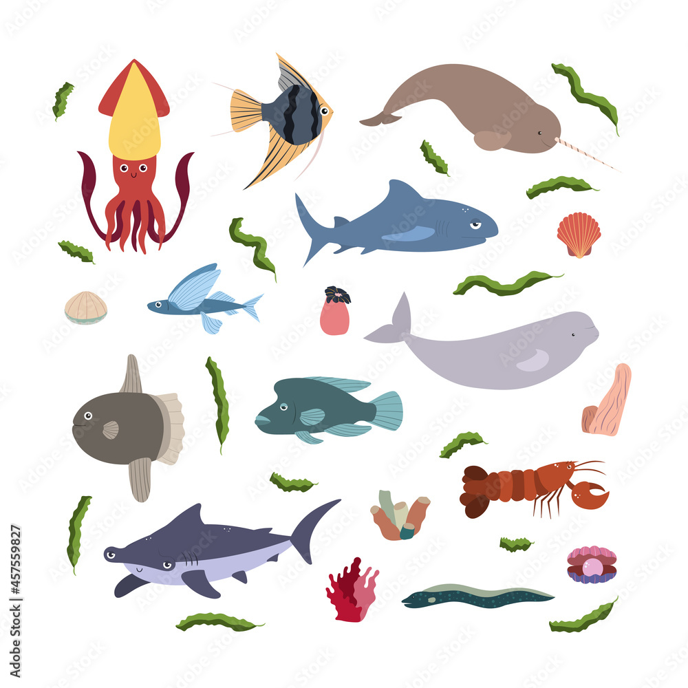Design template with sea animal in square for kid print. Rectangle composition of marine animals, squid, hammerheand shark, beluga and lobster, narwhale. Vector set of underwater life Design template with sea animal in square for kid print. Rectangle composition of marine animals, squid, hammerheand shark, beluga and lobster, narwhale. Vector set of underwater life