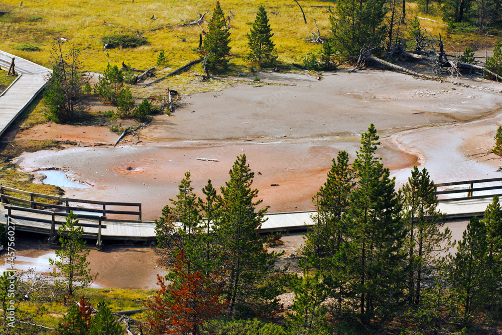 Geyser in Yellowstone National Park.