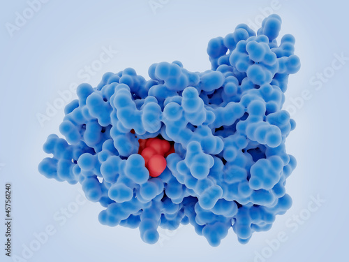 Canvas Print The tumor suppressor MTAP with a substrate analog
