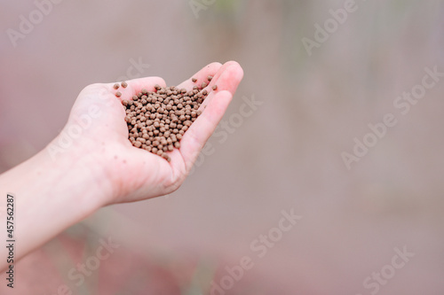 Pellets food for feeding fish on hand