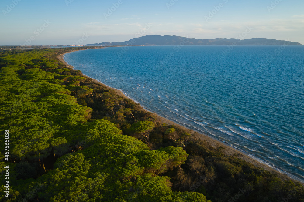 aerial view of the coastal pine forest of the western orbetello lagoon in Tuscany