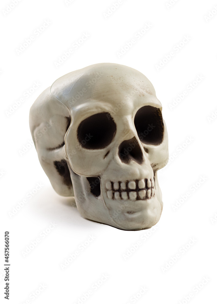 Fototapeta premium A human skull on a white background.