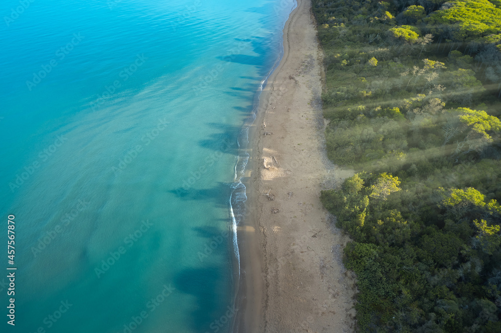 aerial view of the pine forest that meets the sea in the Tuscan Maremma