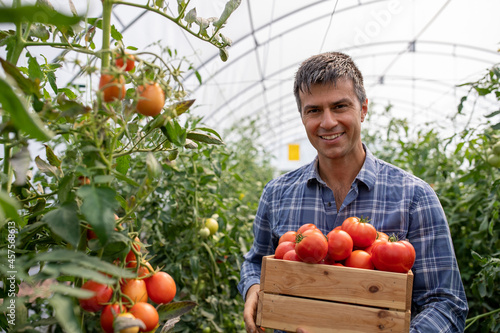 Photos Portrait of male agronomist working in greenhouse holding tomatoes