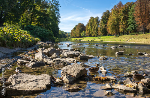 Stones in the foreground in the Olza River photo