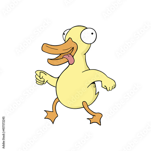 Funny duck walking