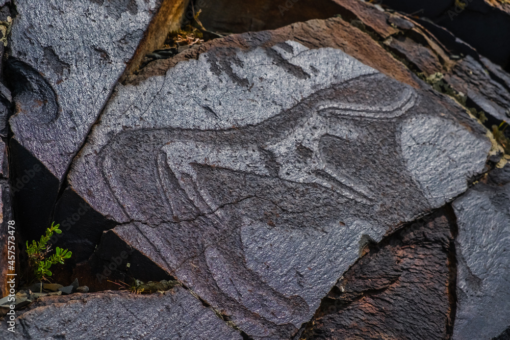 Fototapeta premium Ancient cave paintings on rocks. Bronze Age, Iron Age and Middle Age rock art. Tanbaly tas petroglyphs in Kazakhstan. UNESCO World Heritage. Tourism, travel in Kazakhstan concept.