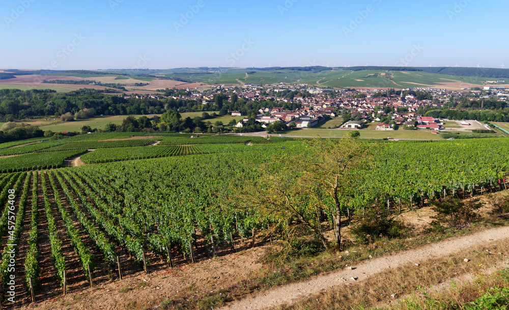 Vineyards in the hill of Chablis village