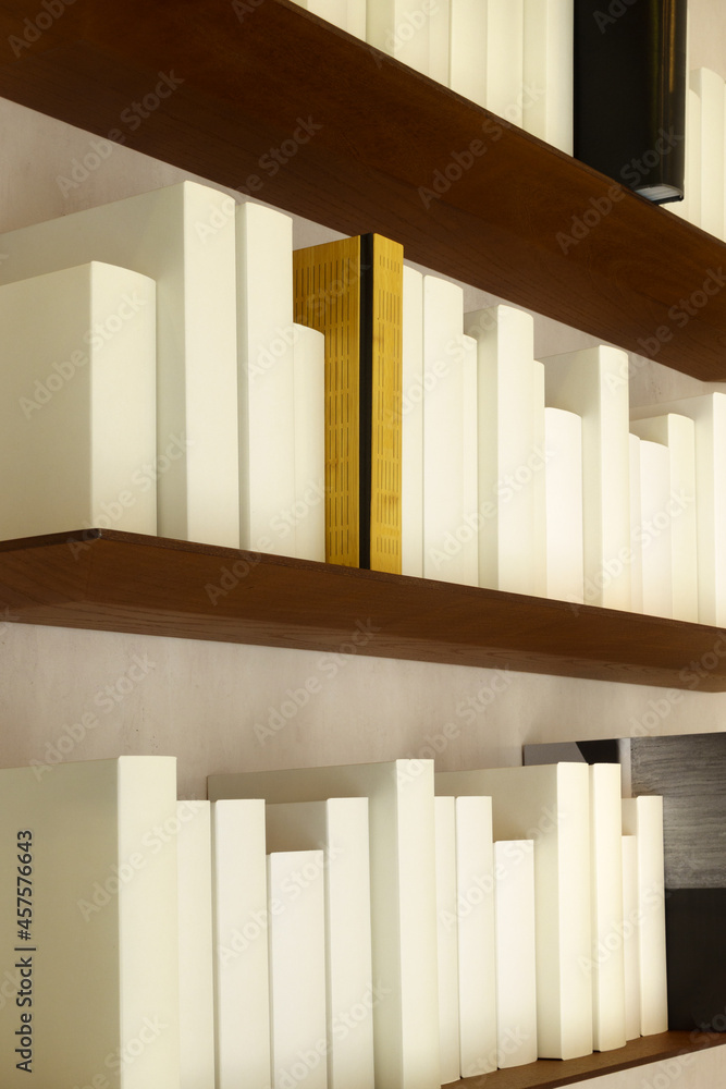 Obraz premium Livres blancs. Bibliothèque