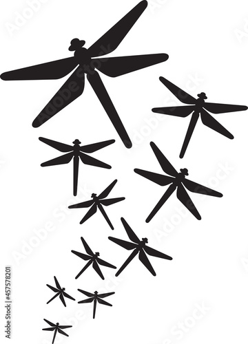 Group of flying dragonfly insect