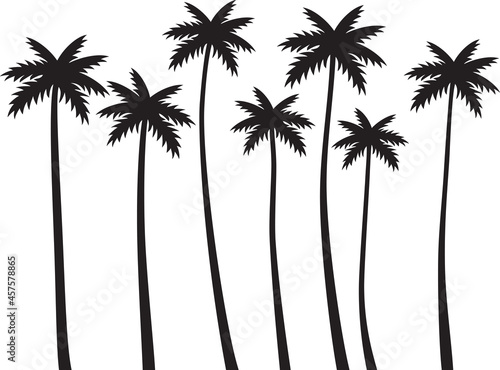 Illustration of palm trees silhouette