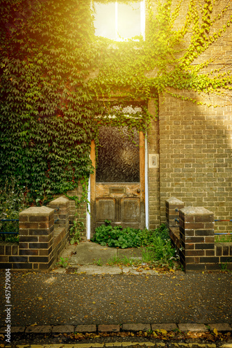 Bright sunshine reflecting off an upstairs sash window on an abandoned and derelict victorian house. Showing overgrown foliage at the front, located near a double yellow line.