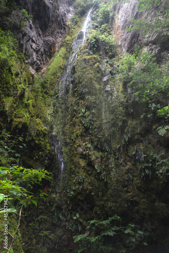 Beautiful small waterfall with silk effect in middle of colombian andean forest