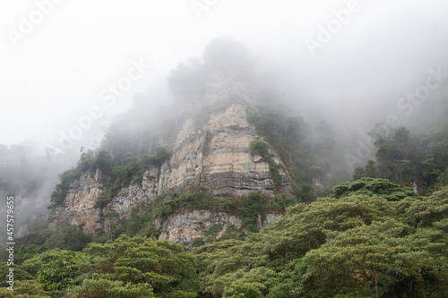 A beautiful high white cliff in middle of a dense fog with green trees at colombian Chicaque natural park 
