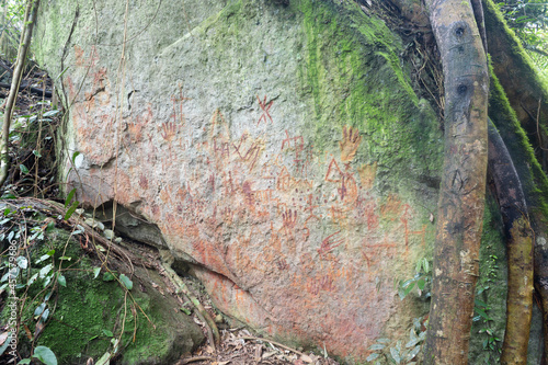 An ancient indigenous art paintings with green moss in middle of colombian andean rain forest
