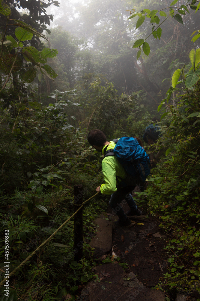Young man descends helped with a rope over an ancient indigenous path in middle of colombian andean forest