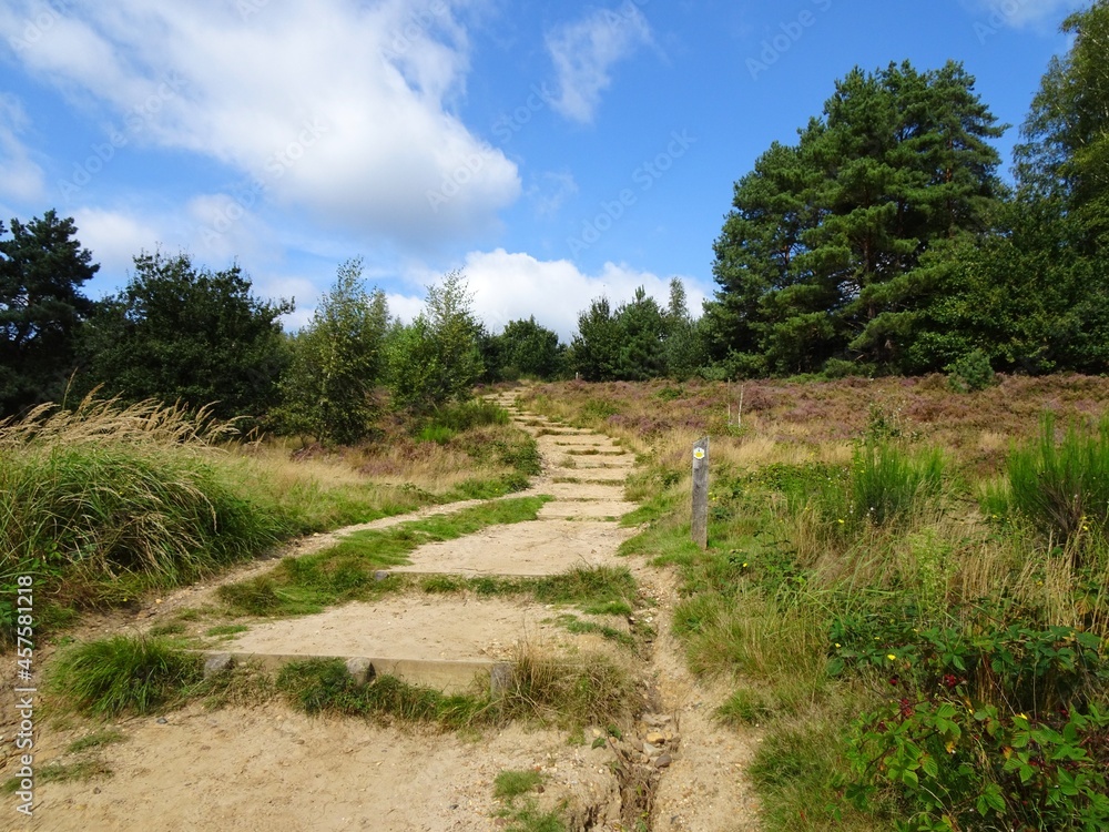 Hiking trail that leads up into Mechelse Heide, National Park,
Maasmechelen Belgium.