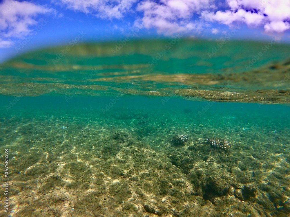 Ocean floor with blue sky above while snorkelling 