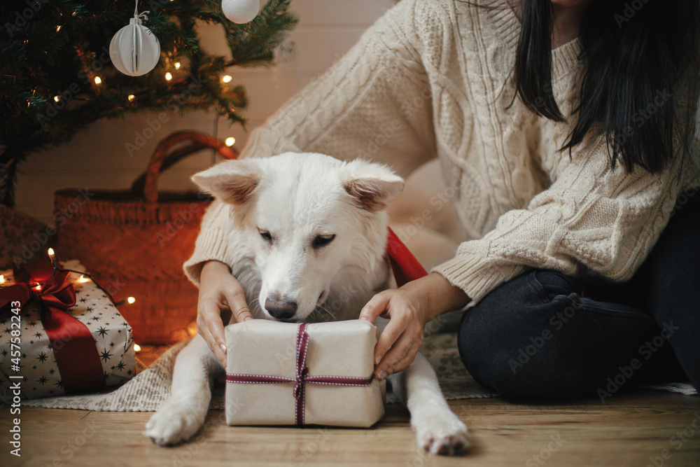 Stylish woman and adorable dog holding christmas gift under christmas tree with lights. Cute dog with wrapped present sitting with owner in festive scandinavian room. Pet and winter holidays - obrazy, fototapety, plakaty 