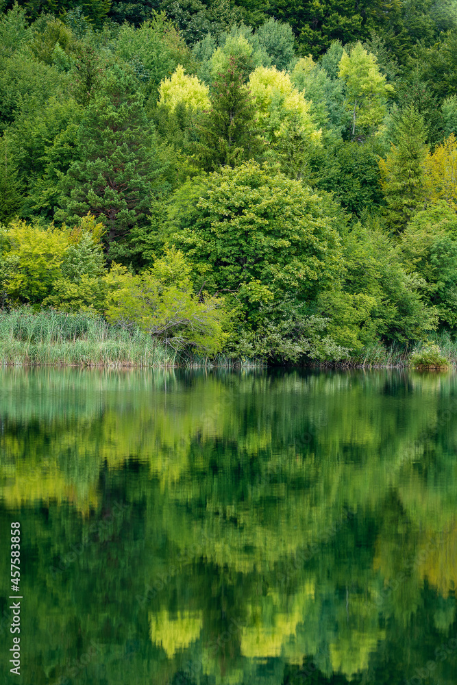 Wonderful view of the Plitvice Lakes National Park. Croatia Wonderful view of the Plitvice Lakes National Park. Croatia