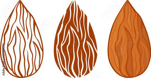Almond silhouettes vector icon, whole nuts seeds set, line and flat design isolated on white background. Food illustration