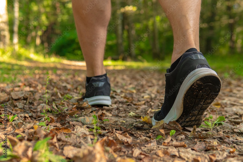 Legs in sneakers close up athlete runs in the park outdoors, around the forest, oak trees green grass young enduring athletic athlete healthy athlete forest, outdoor fit person jog, wellbeing. Autumn