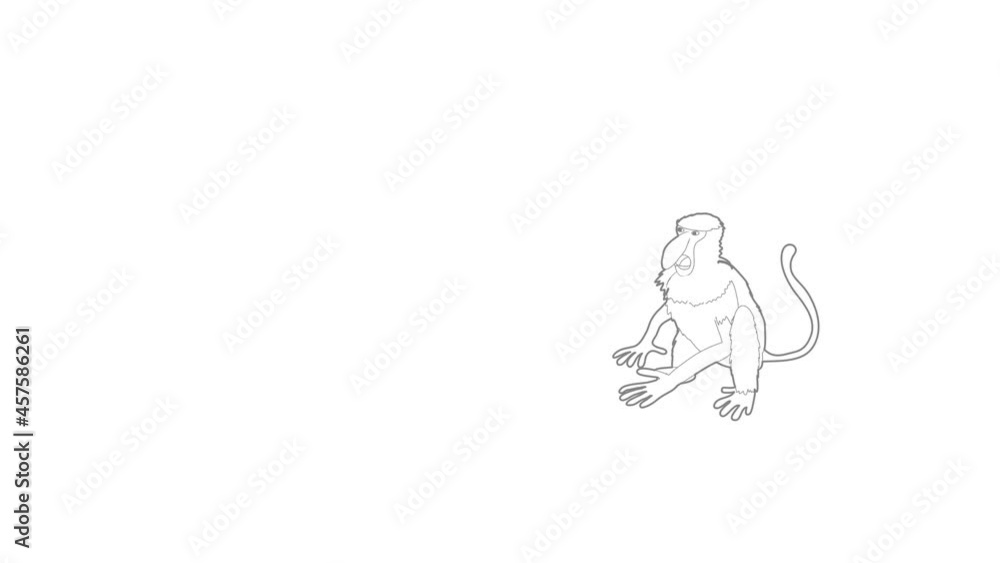 Nasalis monkey icon animation best outline object on white background