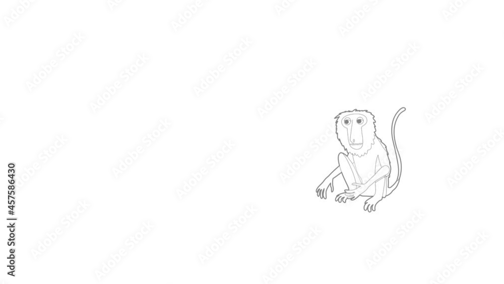 Sitting monkey icon animation best outline object on white background Sitting monkey icon animation best outline object on white background