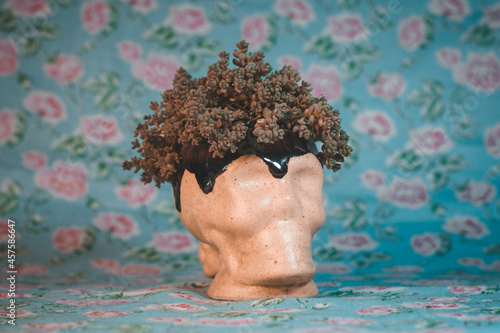 cráneo de maceta de flores con planta  - cráneo de cerámica con plantas - cráneo humano de cerámica con plantas - maceta de cráneo - maceta esqueleto con planta -  maceta de cráneo con fondo floral photo