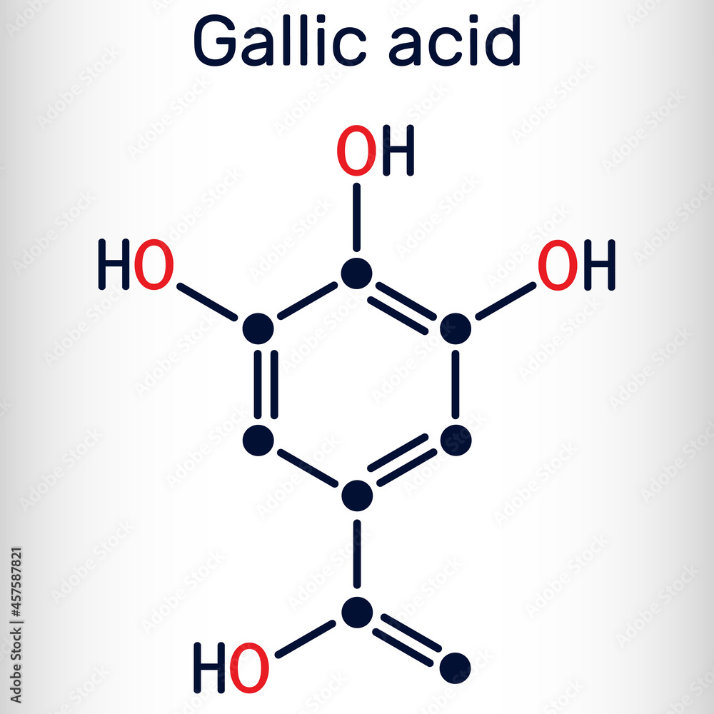Gallic acid, trihydroxybenzoic acid molecule, is phenolic acid, found in gallnuts, sumac, witch hazel, tea leaves and oak bark. Skeletal chemical formula. Vector illustration Gallic acid, trihydroxybenzoic acid molecule, is phenolic acid, found in gallnuts, sumac, witch hazel, tea leaves and oak bark. Skeletal chemical formula. Vector illustration