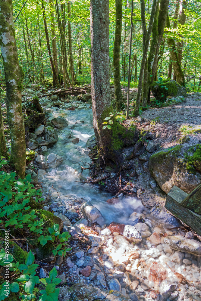 Obraz premium Malerwinkel - Rundwanderweg durch den Wald am Königssee