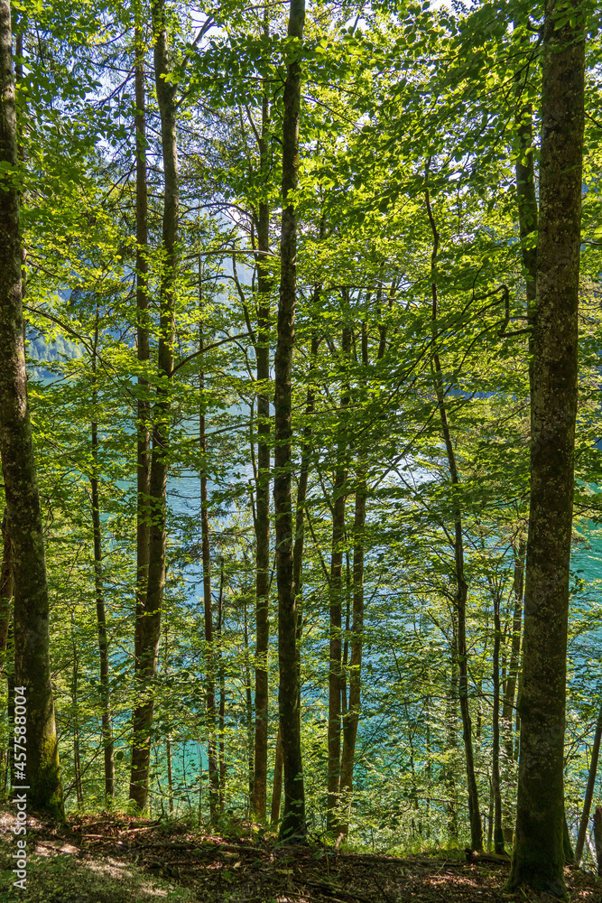 Malerwinkel - Rundwanderweg am Königssee Malerwinkel - Rundwanderweg am Königssee