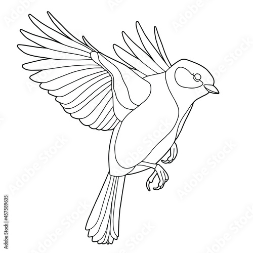 Tit. Small bird. Coloring page. Black outline. 