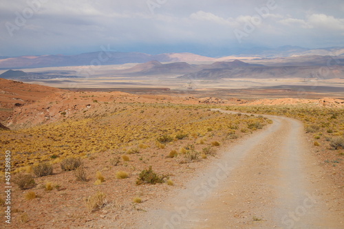 Desert Road in amazing landscape