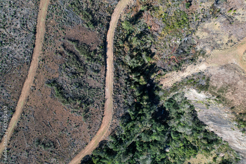 Drone images of the beautiful Hogsback forests, as to where forestry. takes place