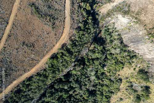 Drone images of the beautiful Hogsback forests, as to where forestry. takes place © fotorudi_101