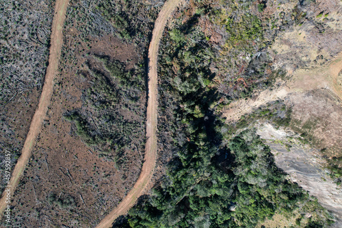 Drone images of the beautiful Hogsback forests, as to where forestry. takes place