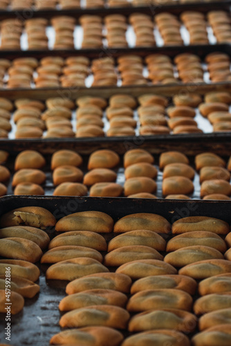 Sinaloa empanadas from the region of El Fuerte Sinaloa Prodigious Land