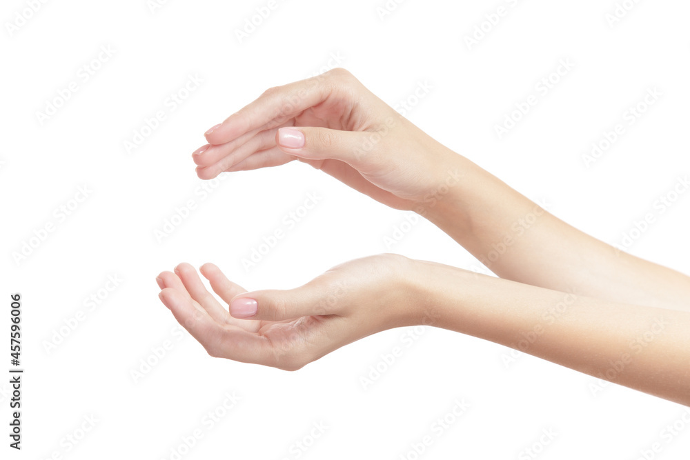 beautiful female hand on a white background gesture beautiful female hand on a white background gesture
